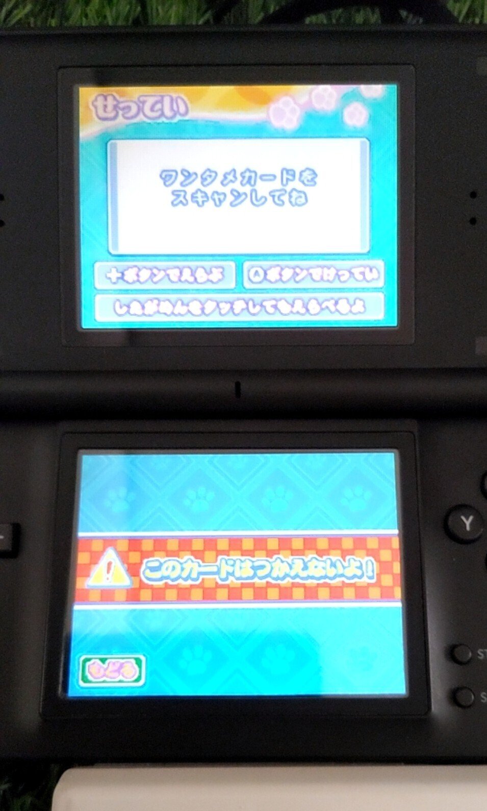 番外編】ワンタメ(DSカードリーダー編)｜メイとひみつ。