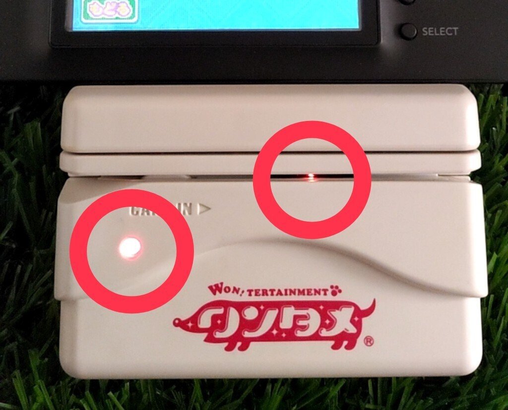 番外編】ワンタメ(DSカードリーダー編)｜メイとひみつ。