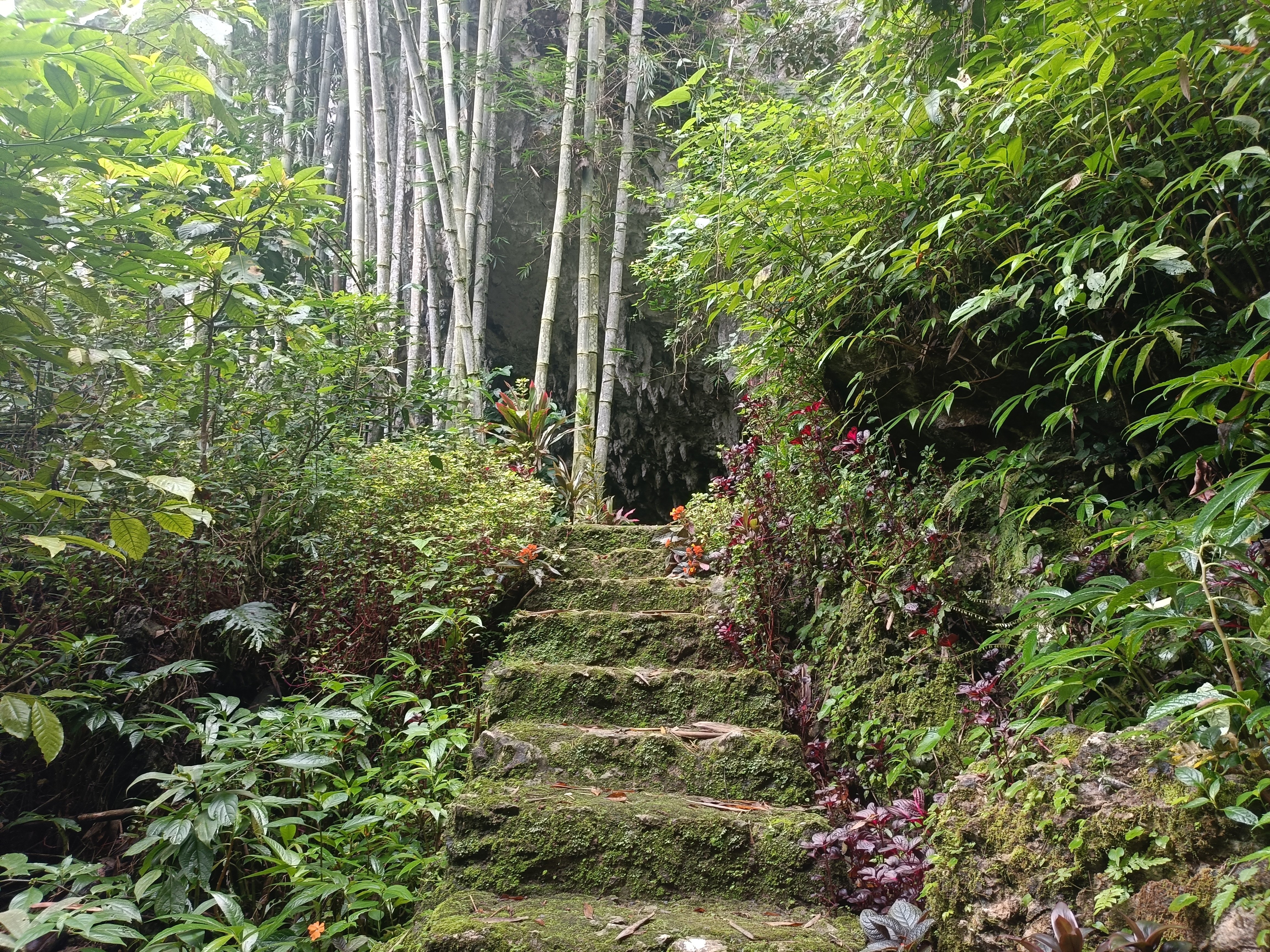 スラウェシ島の旅 タナ•トラジャ2日目｜ウダマコト | 海外MBA
