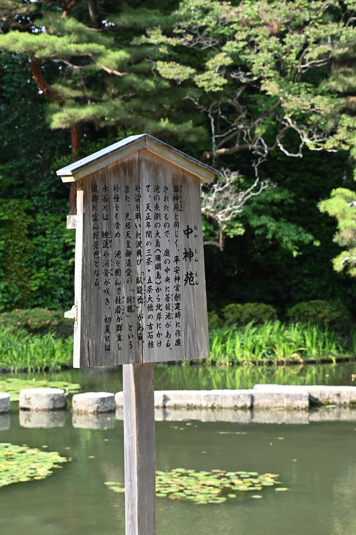 京都 平安神宮 神苑 -Heian Jingu Shrine Shin'en-｜enfoque
