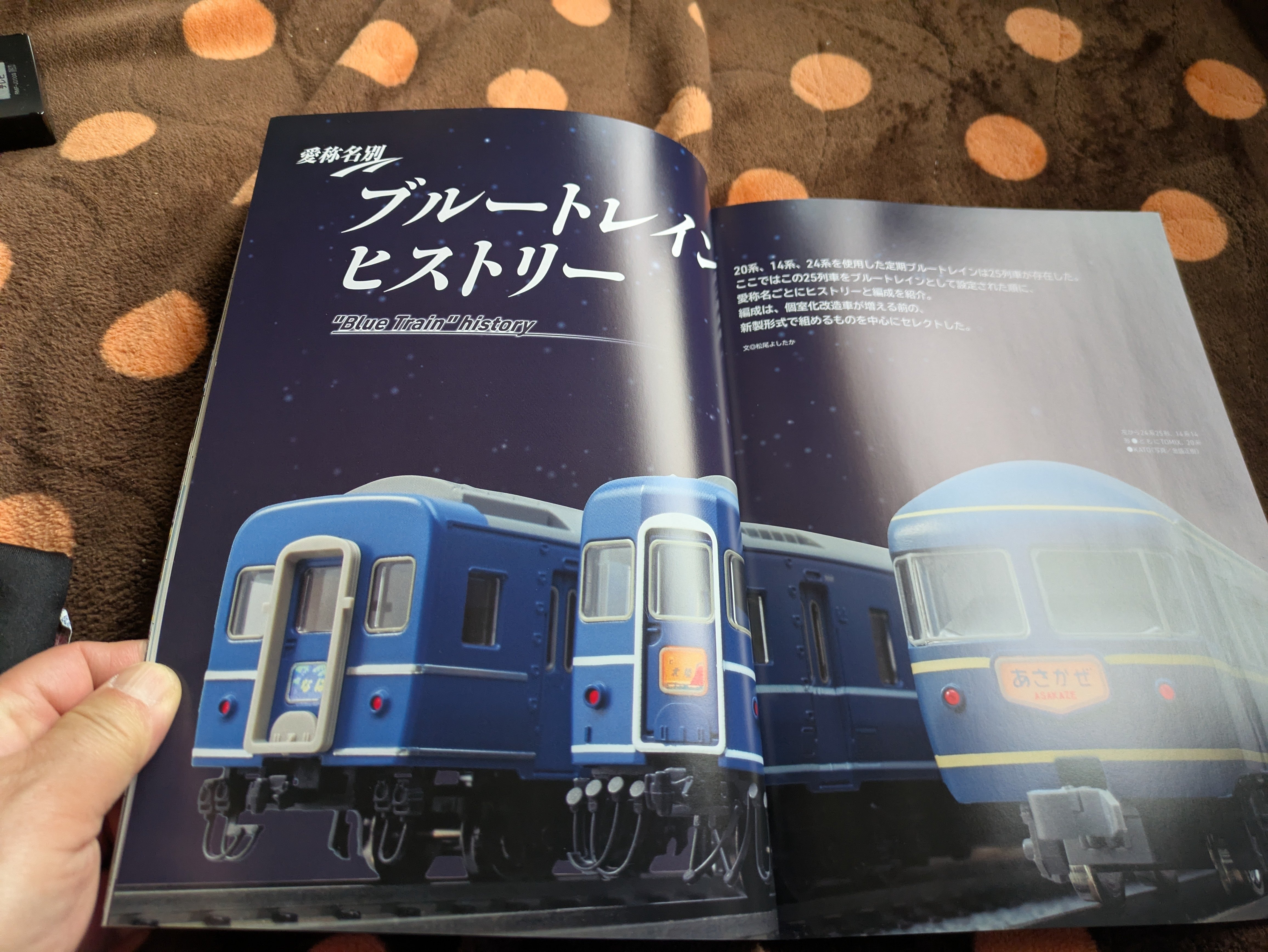 Nゲージ寝台特急 編成を楽しむ｜Blue Train Blog by Masashi