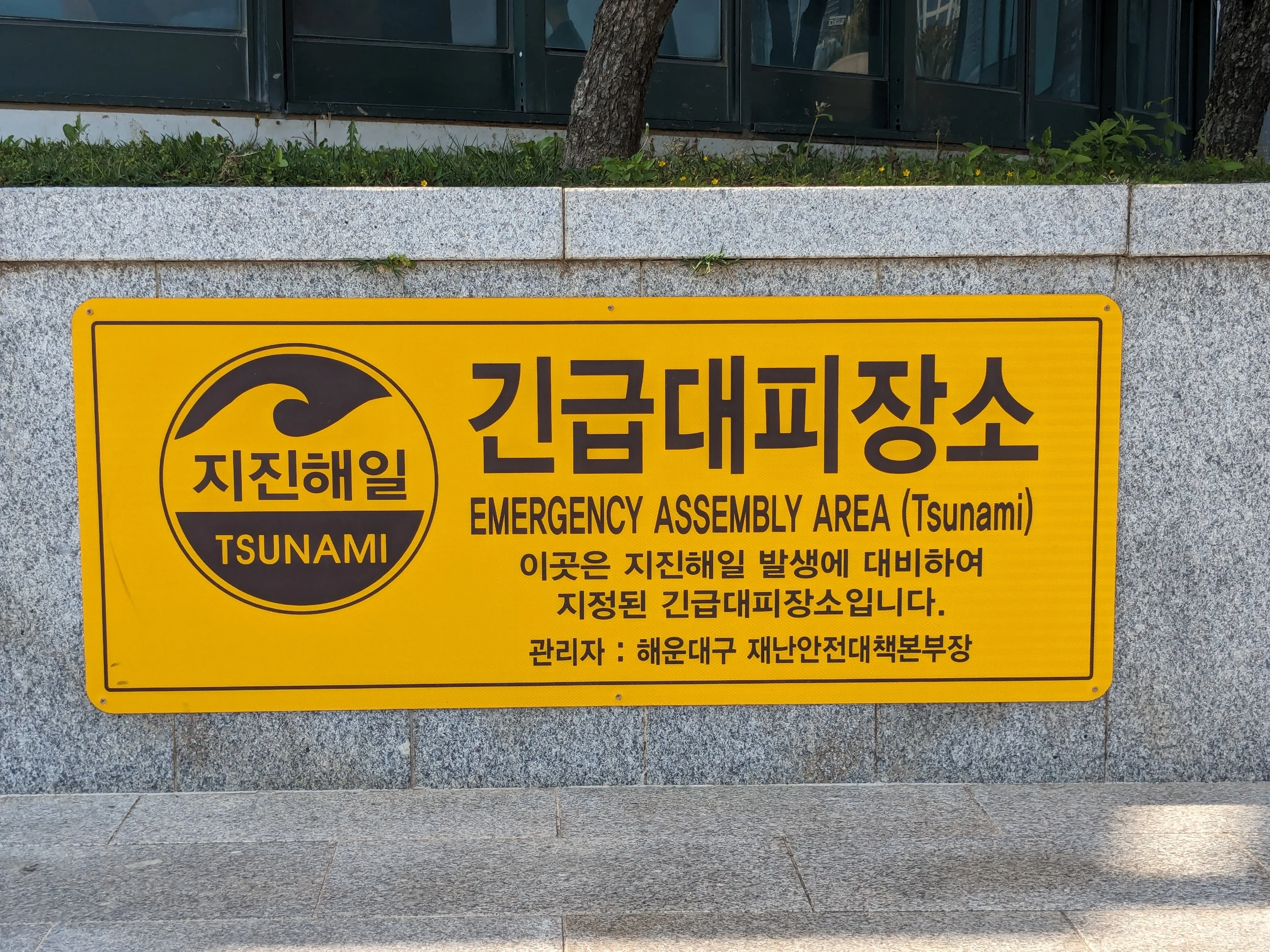 お役立ち】韓国・釜山 世界一高い場所にあるスタバについて～Busan X