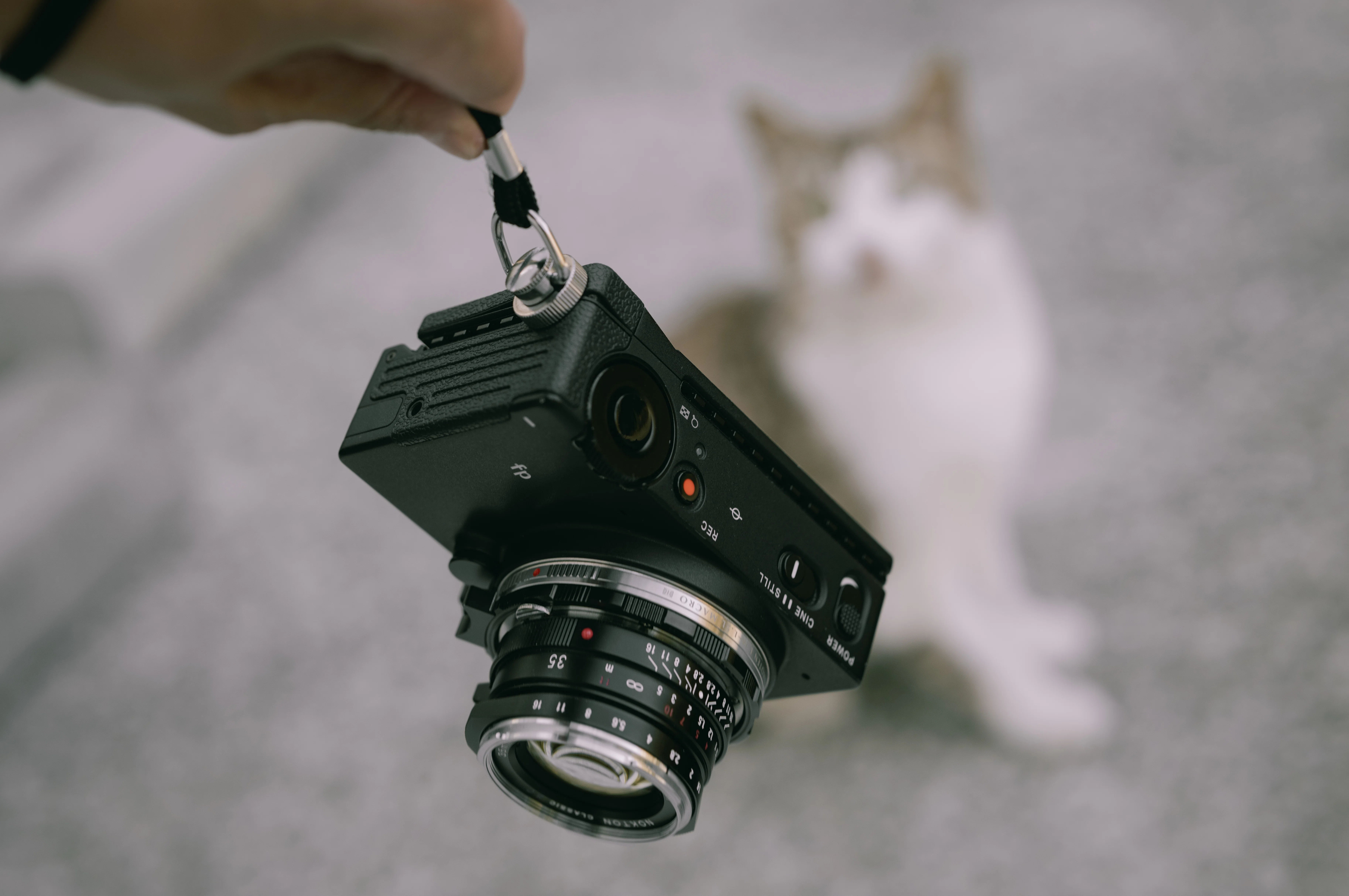 テレウォーク#01【SIGMA fp + NOKTON classic 35mm F1.4 II SC】｜右の