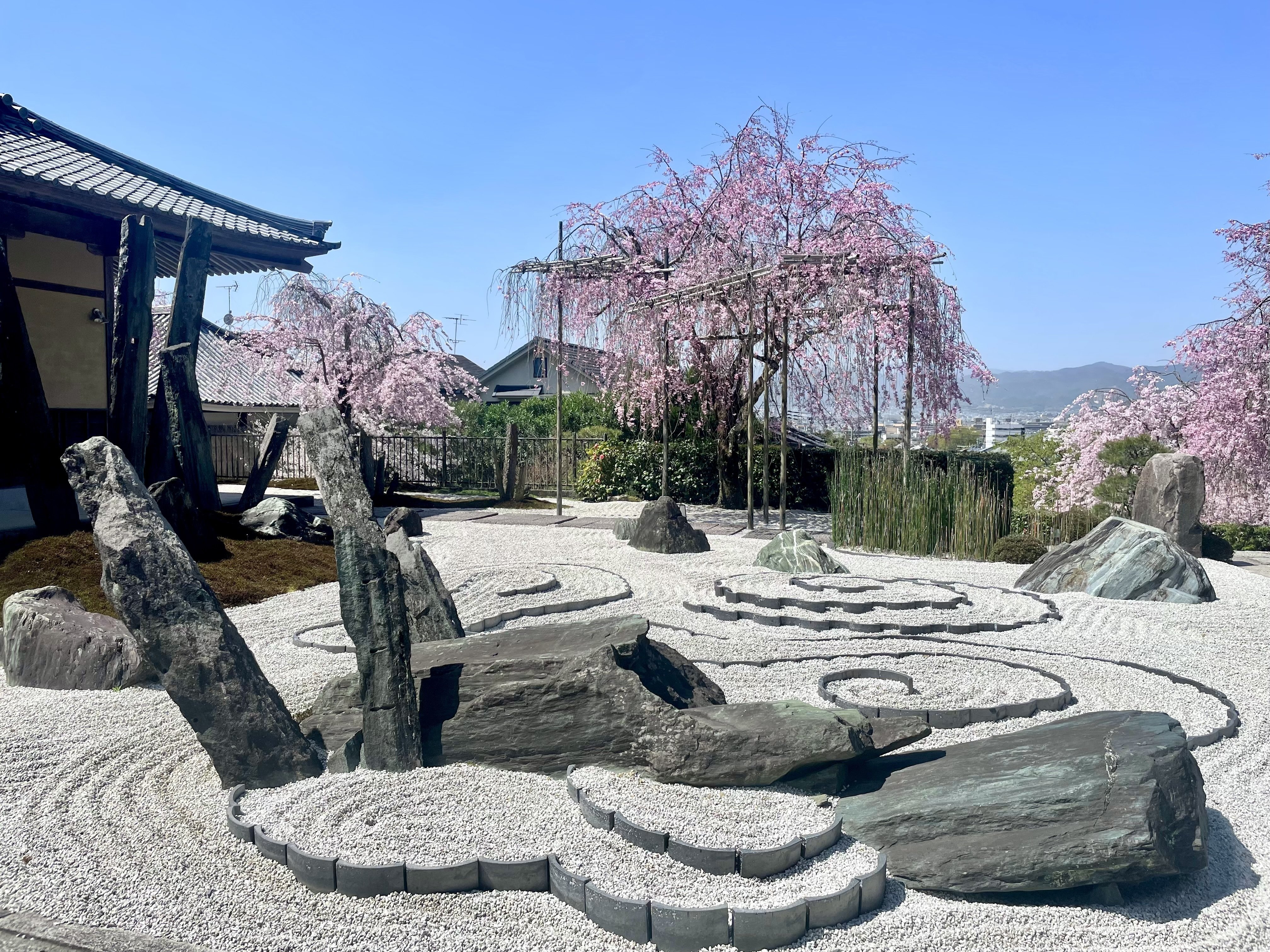 京都を歩こう 24 圓光寺｜主婦の肩書きだけあるる