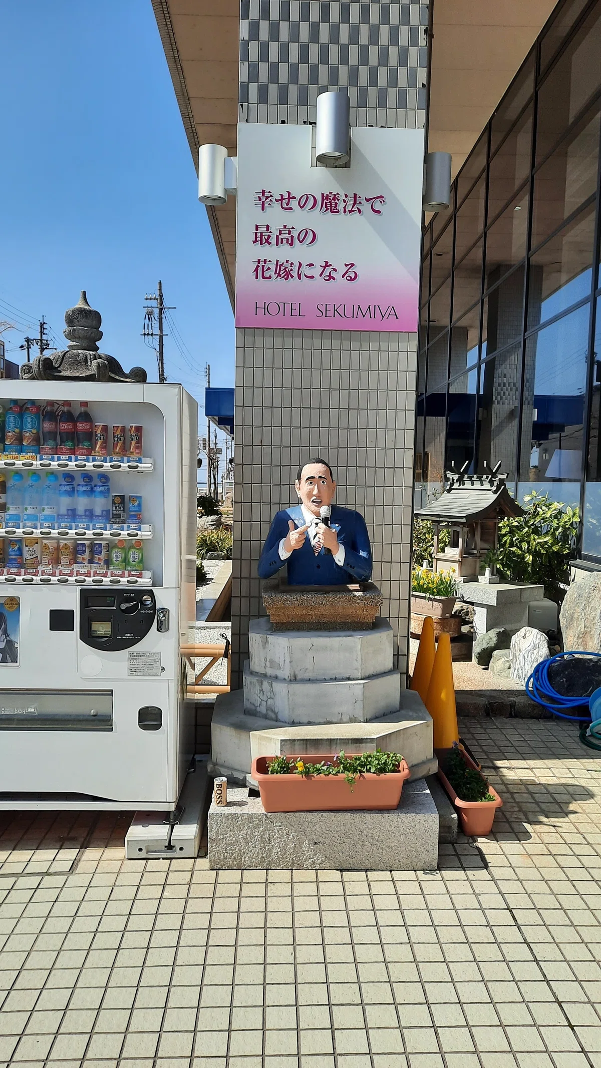 小浜に行った｜サラダ放る