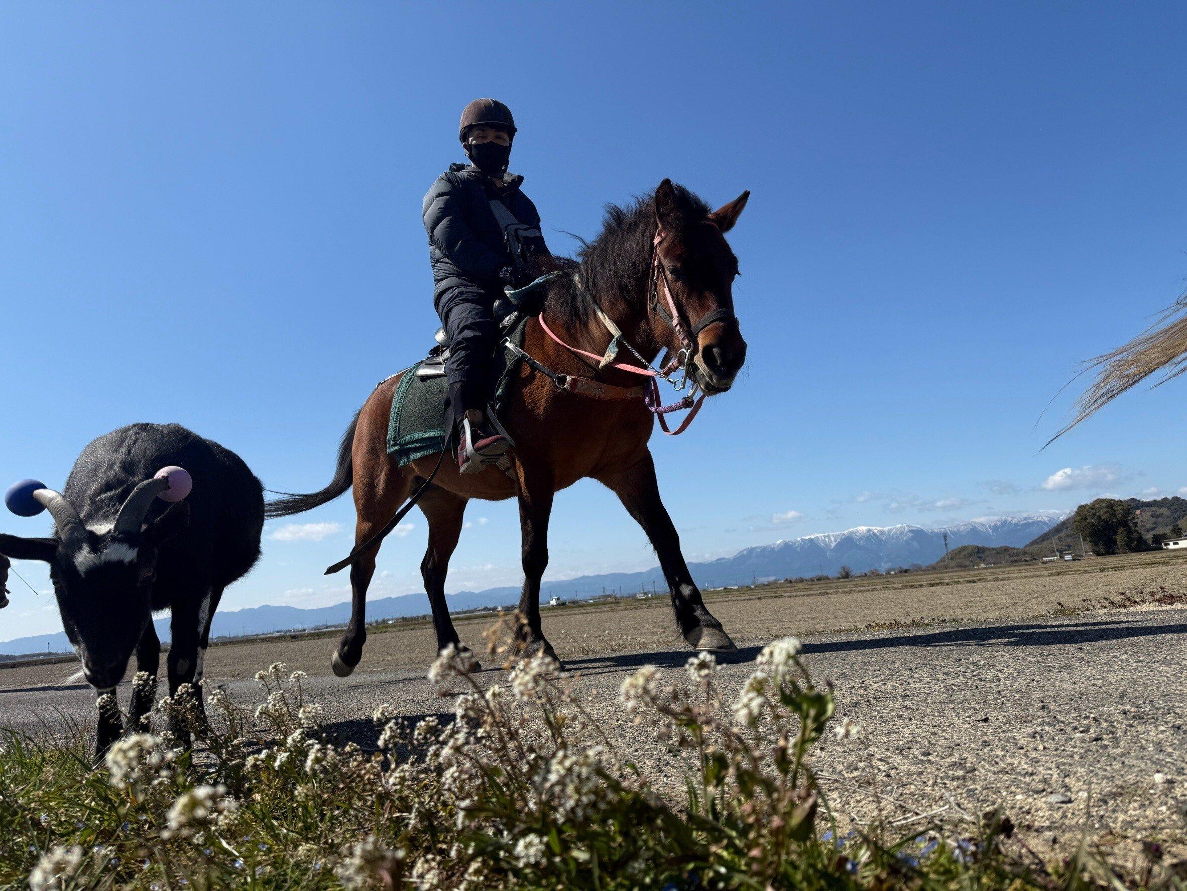 乗馬＆流鏑馬】瞬間を射抜く、風を裂く馬上の矢 in 御猟野乃杜牧場｜雲