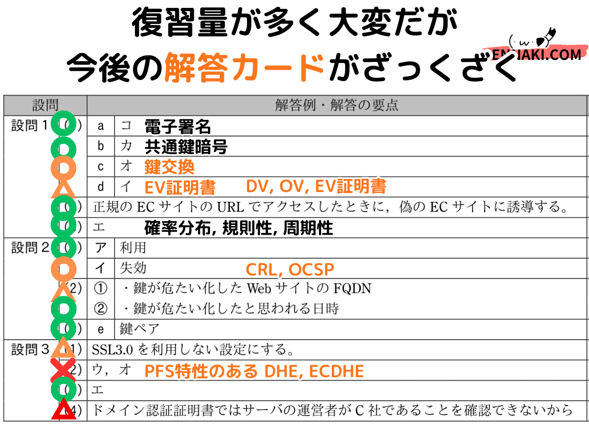 ナナミの脳機能10倍UP大作戦 情報セキュリティスペシャリスト