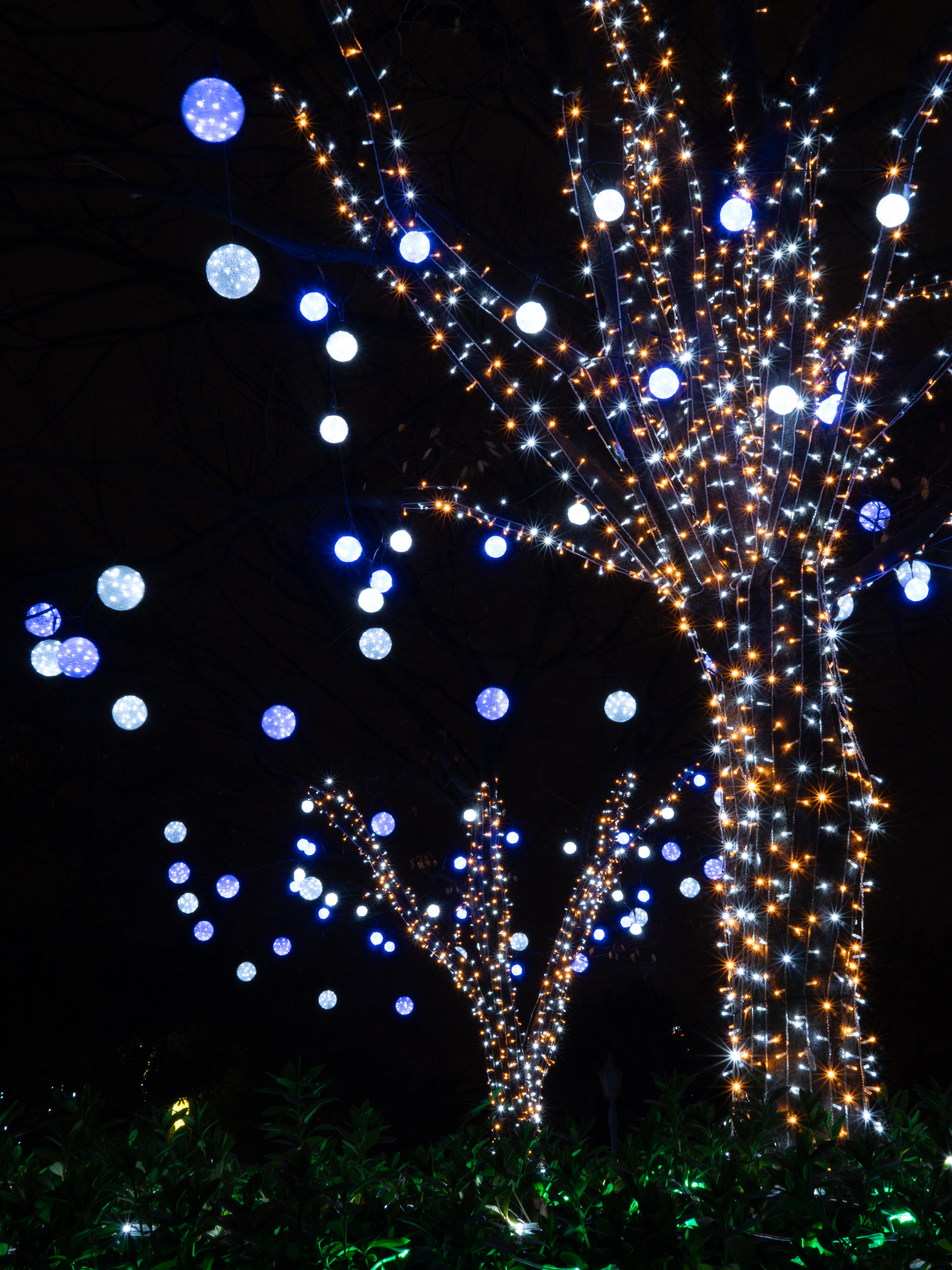 LUMIX G 20mm / F1.7 II ASPH. 【Photo Journey #11】｜LUMIX