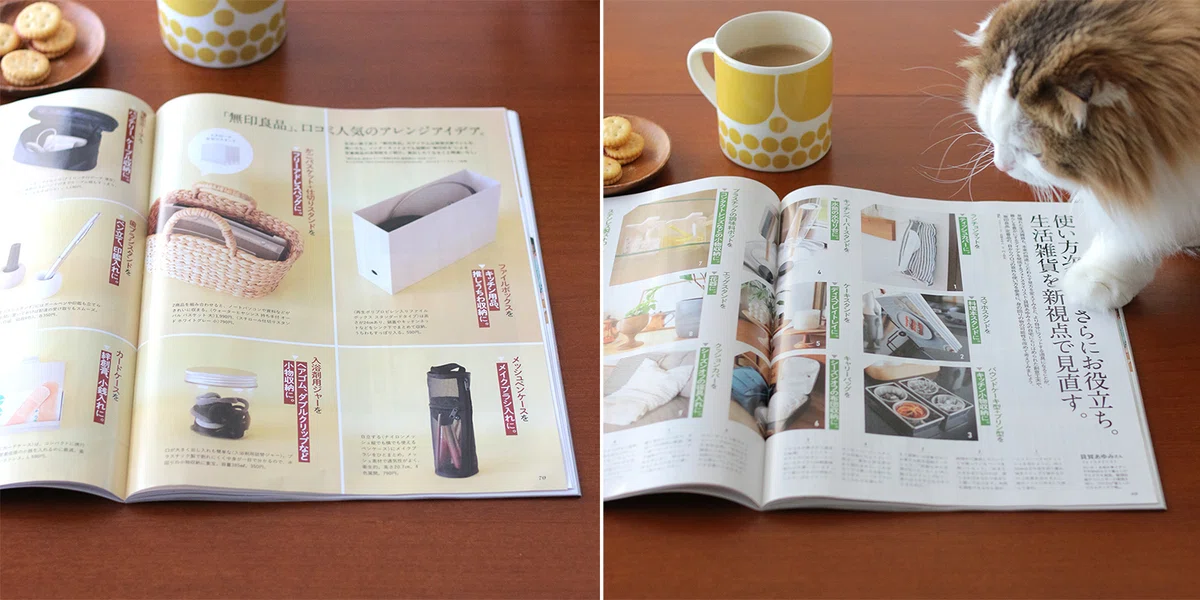 掲載誌