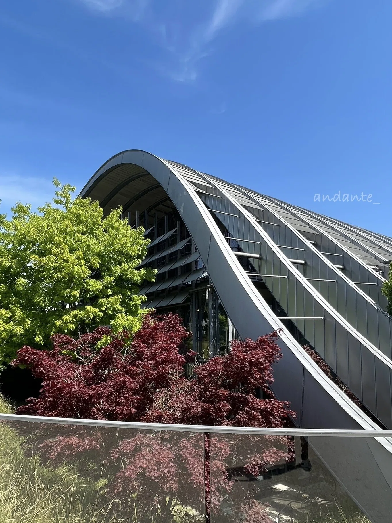 美術展感想｜パウル・クレー展 1 スイス・ベルンでの思い出｜愛知県