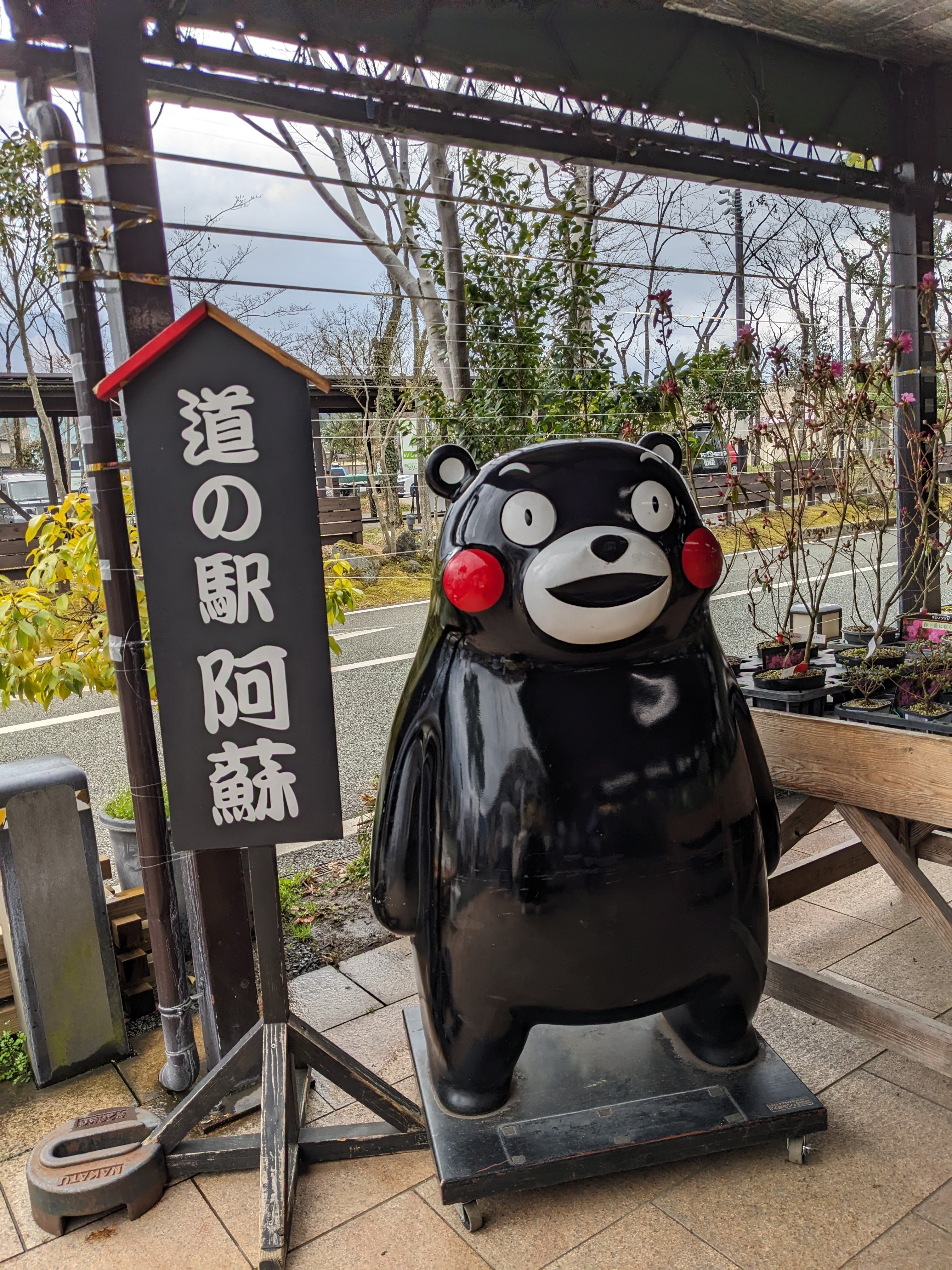 くまモン置物(めで鯛モン) くまモン置物(めで鯛モン)