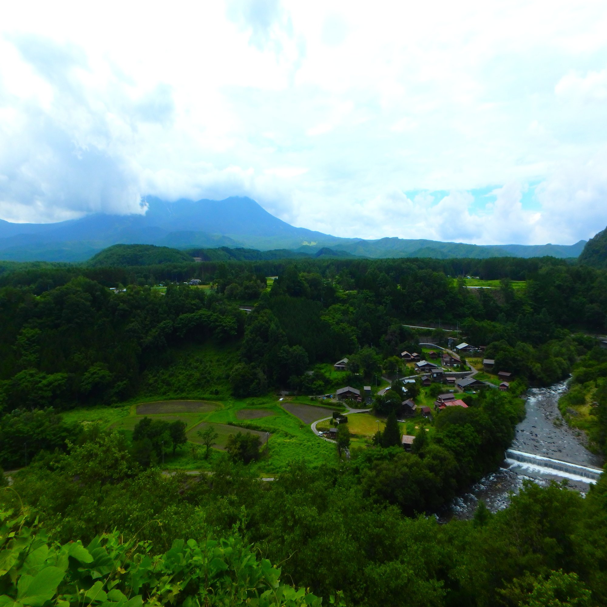 PALAZZI ROSSO DI TOSCANA 750ml 赤ワイン Tenuta di Trinoro Palazzi Rosso Toscana  | Vivino 日本語, image size:2000x1500