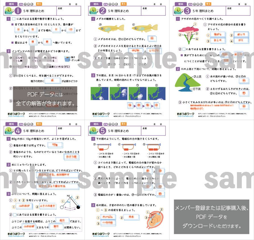 浜学園　サイエンス 5年生 理科 3冊　要点のまとめ　問題編　解答・解説　未使用 浜学園 5年生 サイエンス 理科/解答・解説 第1～3分冊 No.1～No