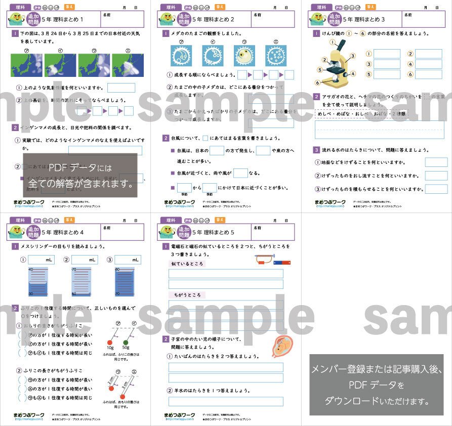 プリント＆答え「小5・理科【総まとめプリント】」2025年3月27日