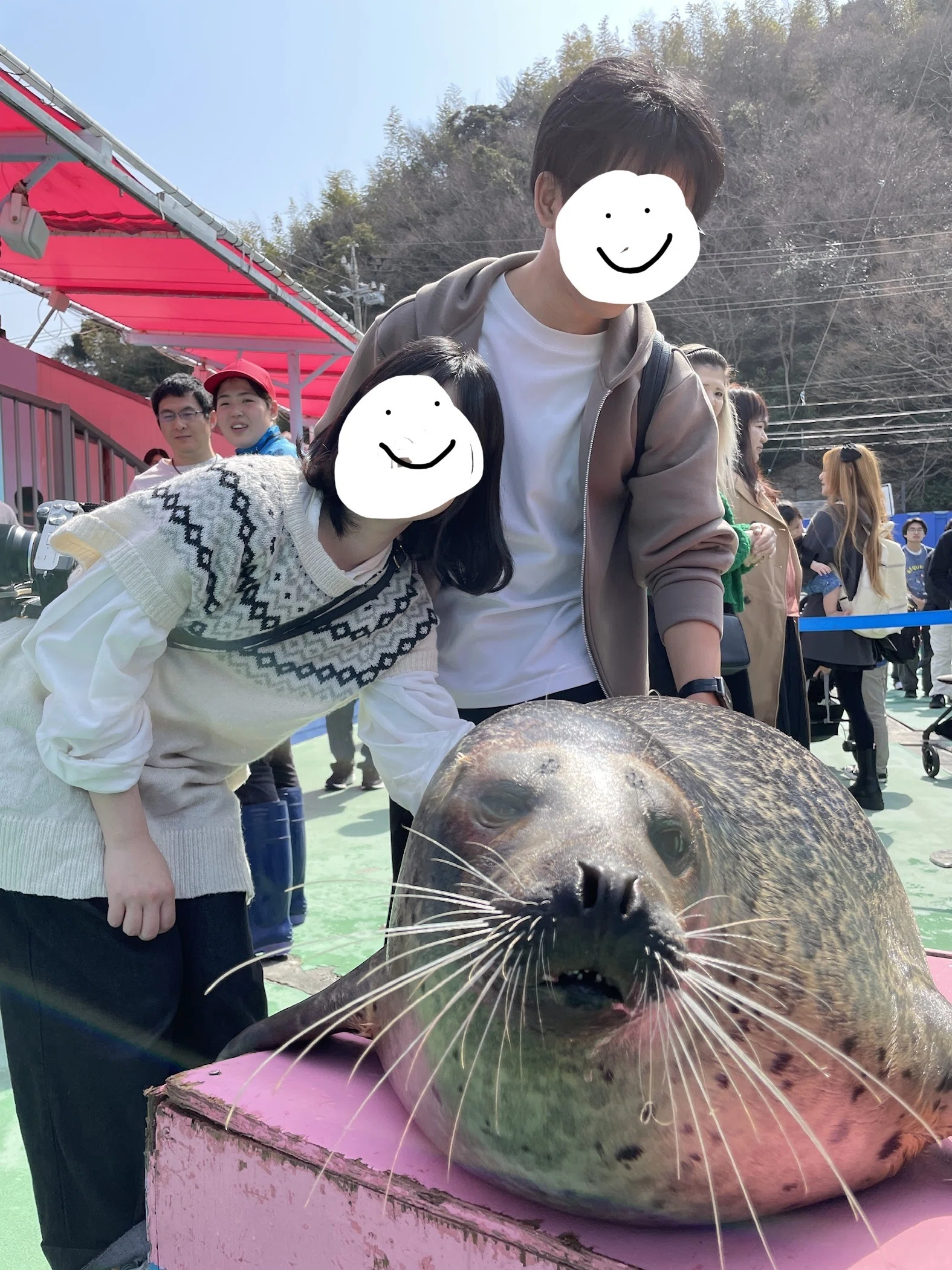 これがずっと行きたかった『伊勢シーパラダイス』だ｜木ノ実ひよこ