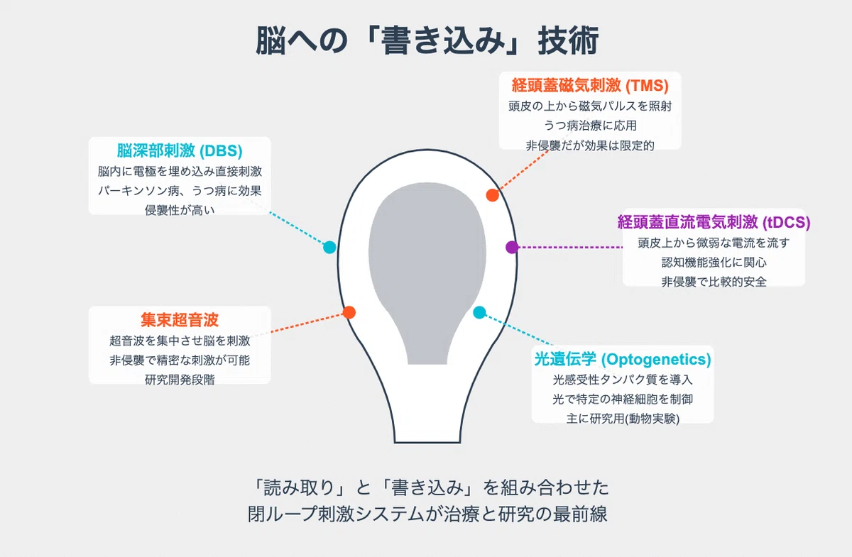 157「ブレインテック探究！脳とテクノロジーが融合する時代