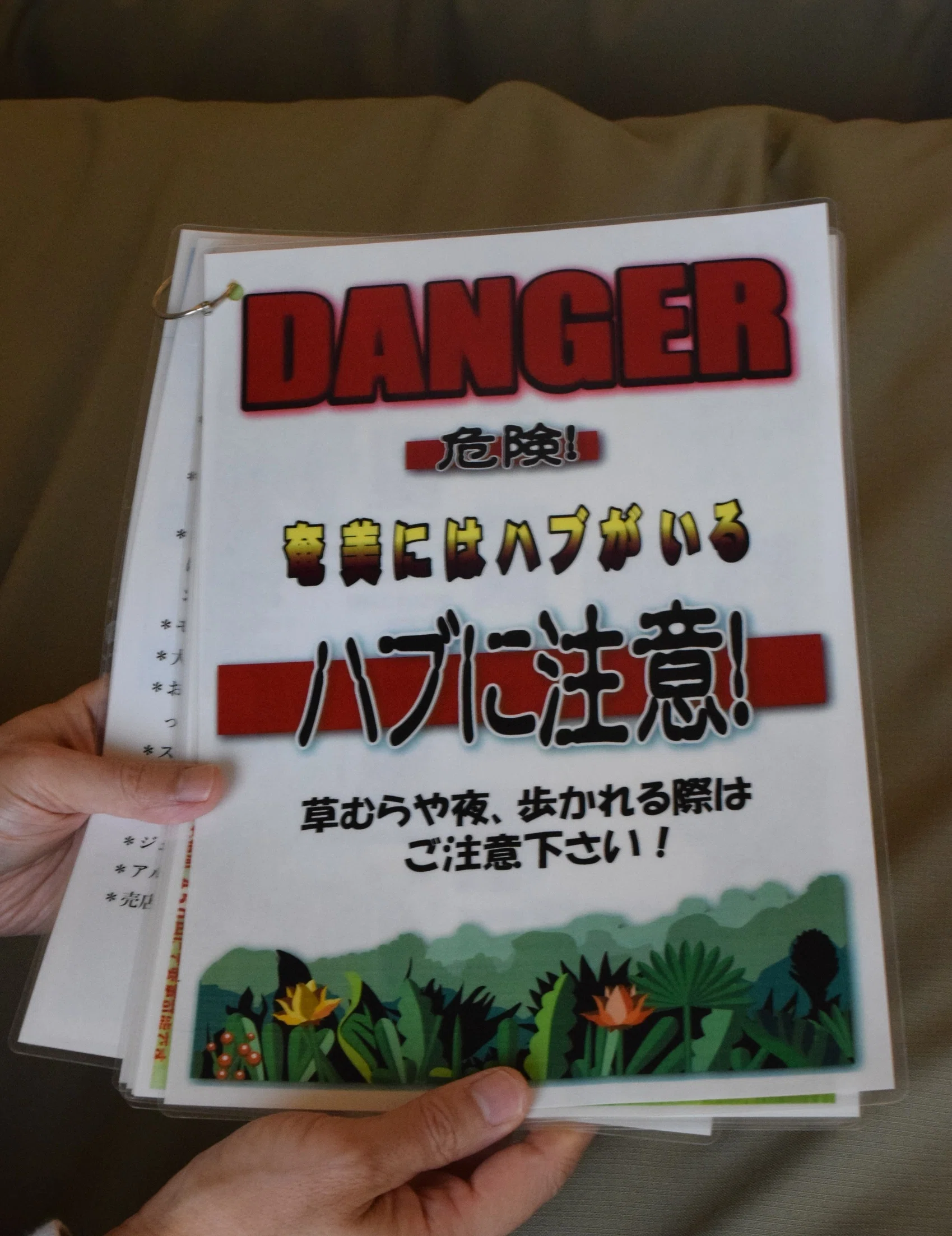 奄美大島 歴史書関連書物一式