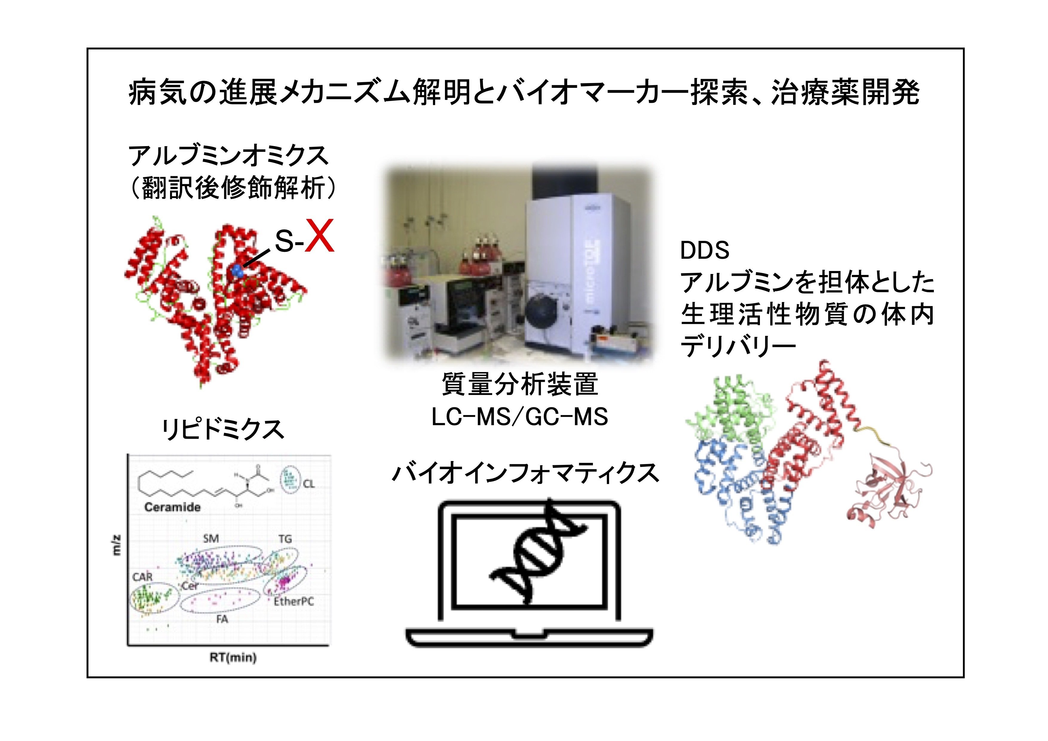 脳内老化制御とバイオマーカー：基盤研究と食品素材 脳内老化制御とバイオマーカー：基盤研究と食品素材
