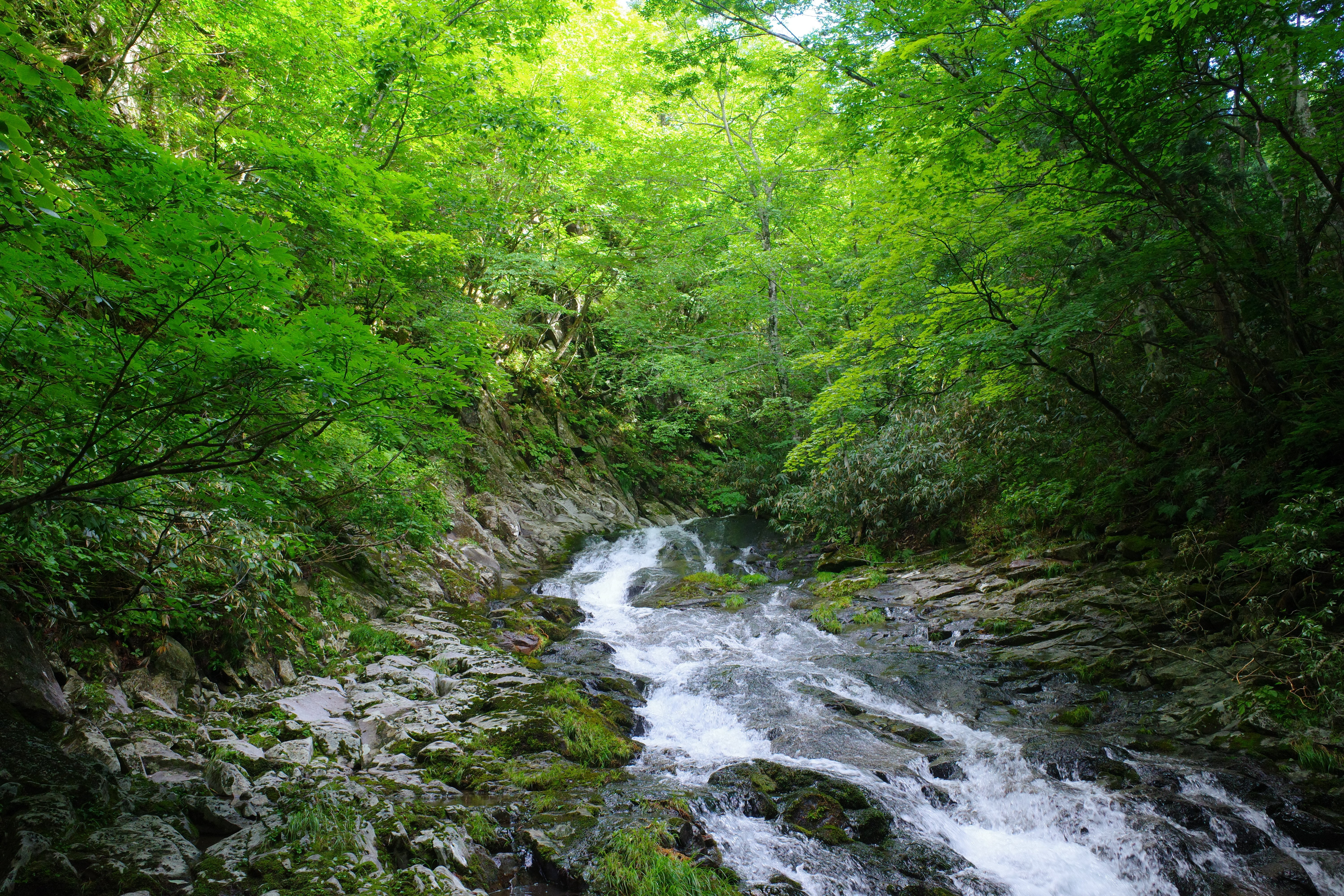 安達ケ原 akito adidas ZX 8000 Consortium Offspring x mita | Grey | SVD USA