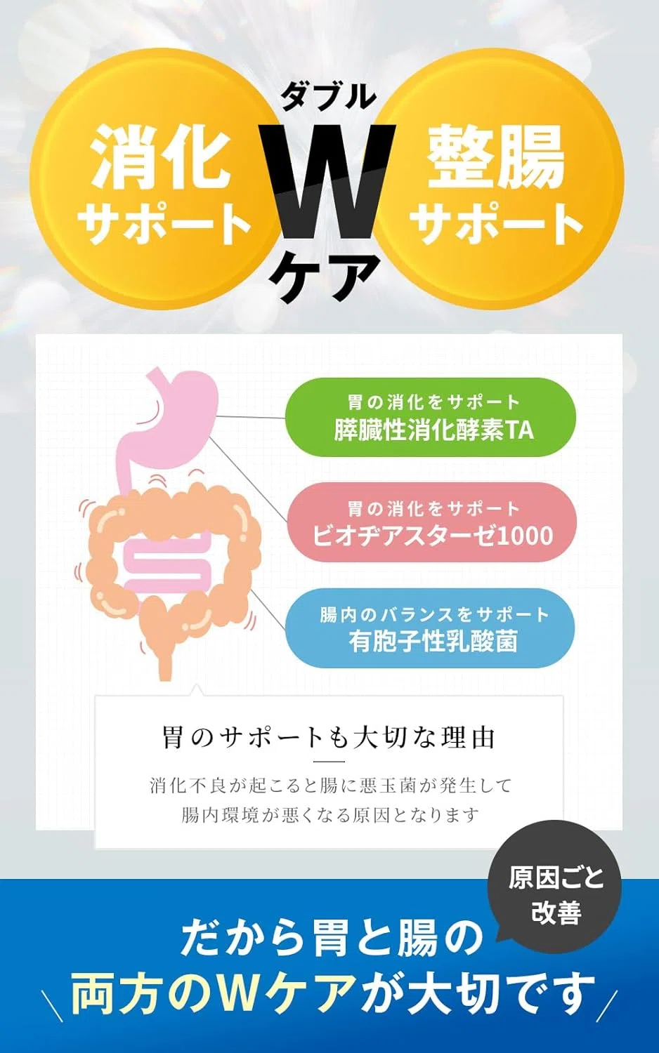 ラクトロン 人気 腸内殺菌 乳酸菌 胃もたれ 腸内環境 美容 整腸 消化 ラクトロン 人気 腸内殺菌 乳酸菌 胃もたれ 腸内環境 美容 整腸 消化