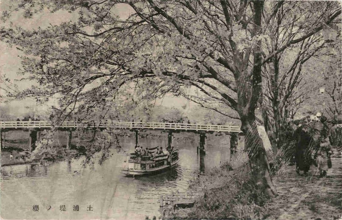 茨城百景 桜川堤と亀城公園｜zxqh7