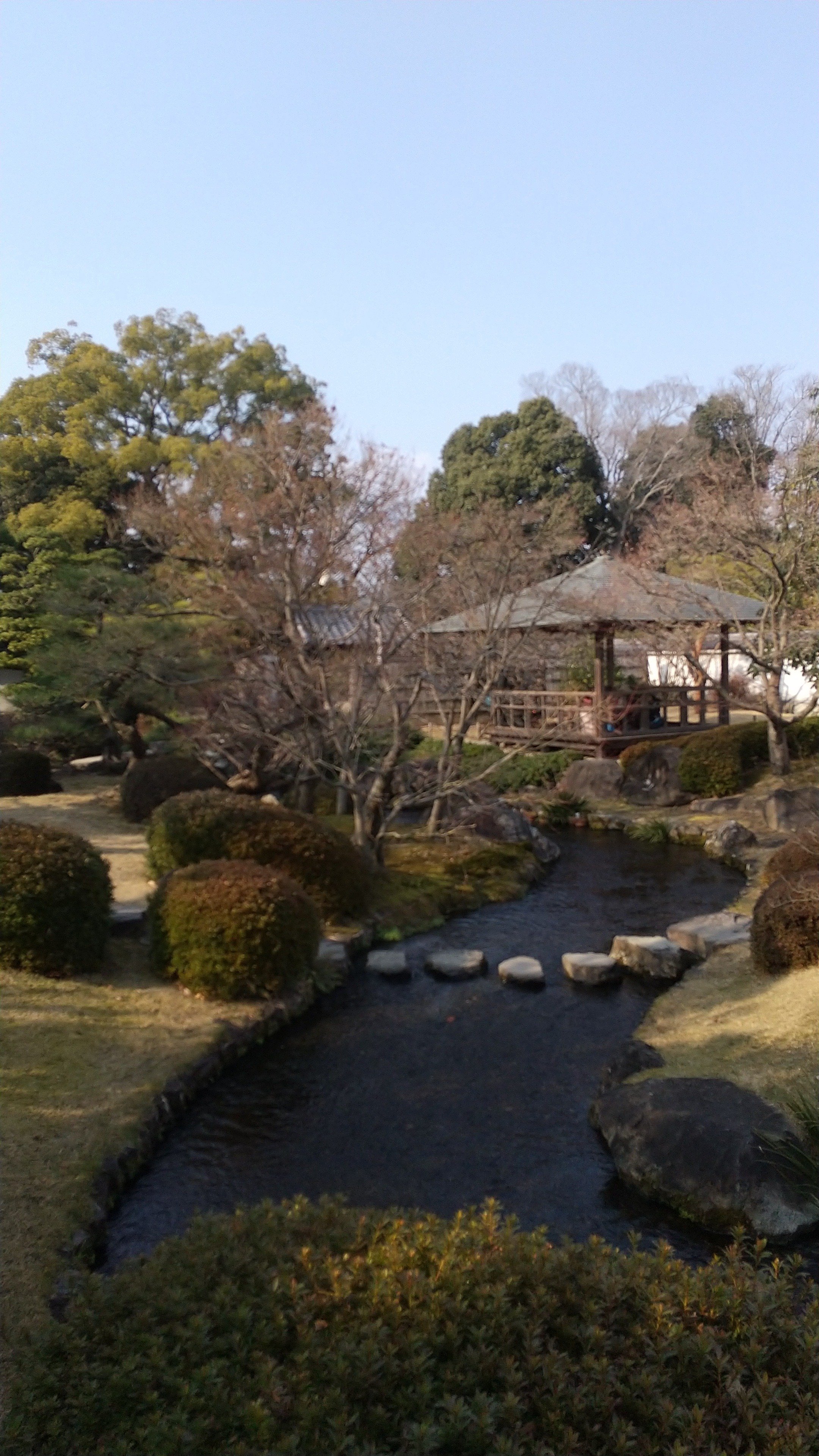 浪漫あふれる「ひめのみち」 姫路城・好古園 (姫路市) 2025 ～ 華の