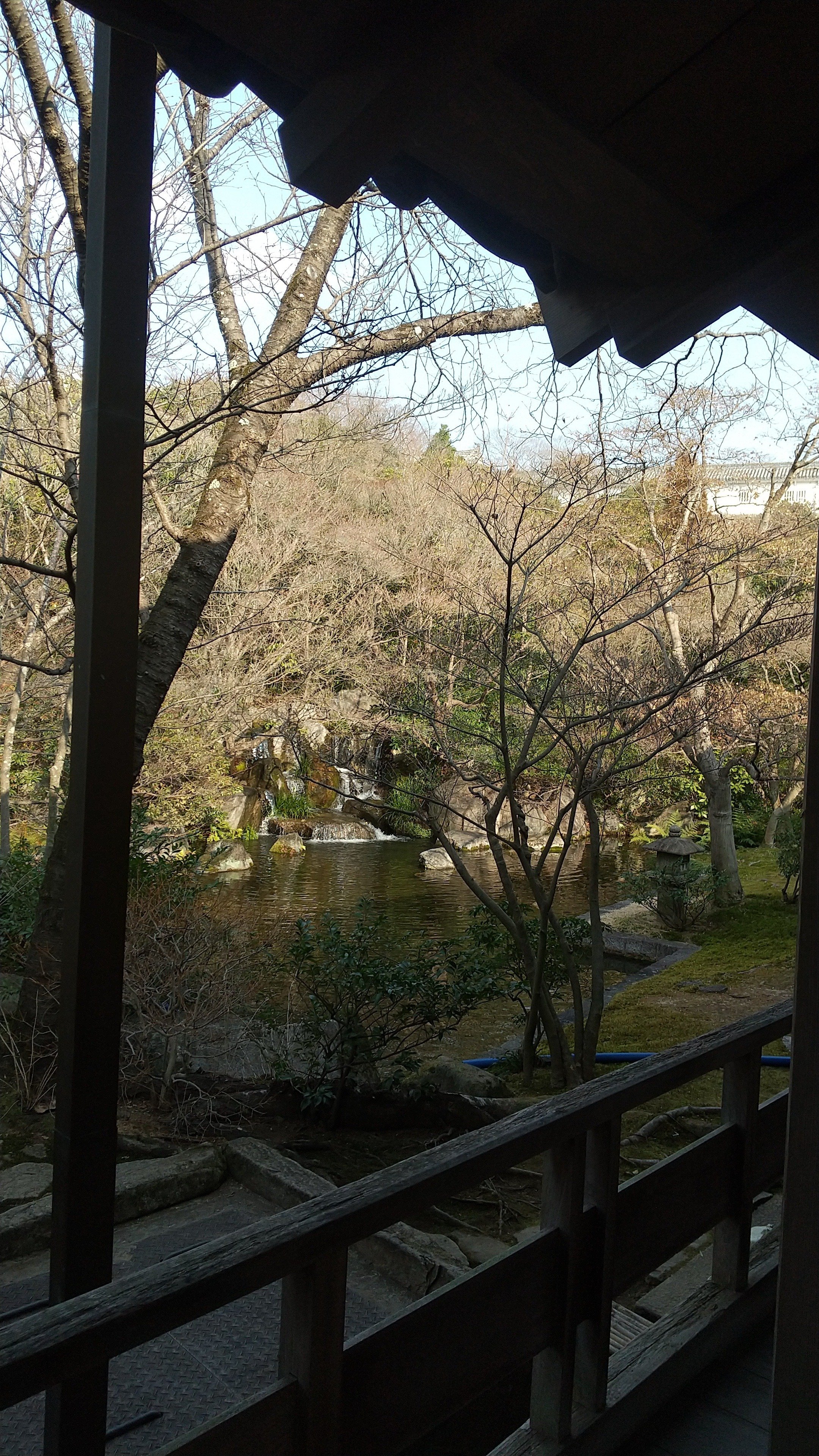 浪漫あふれる「ひめのみち」 姫路城・好古園 (姫路市) 2025 ～ 華の