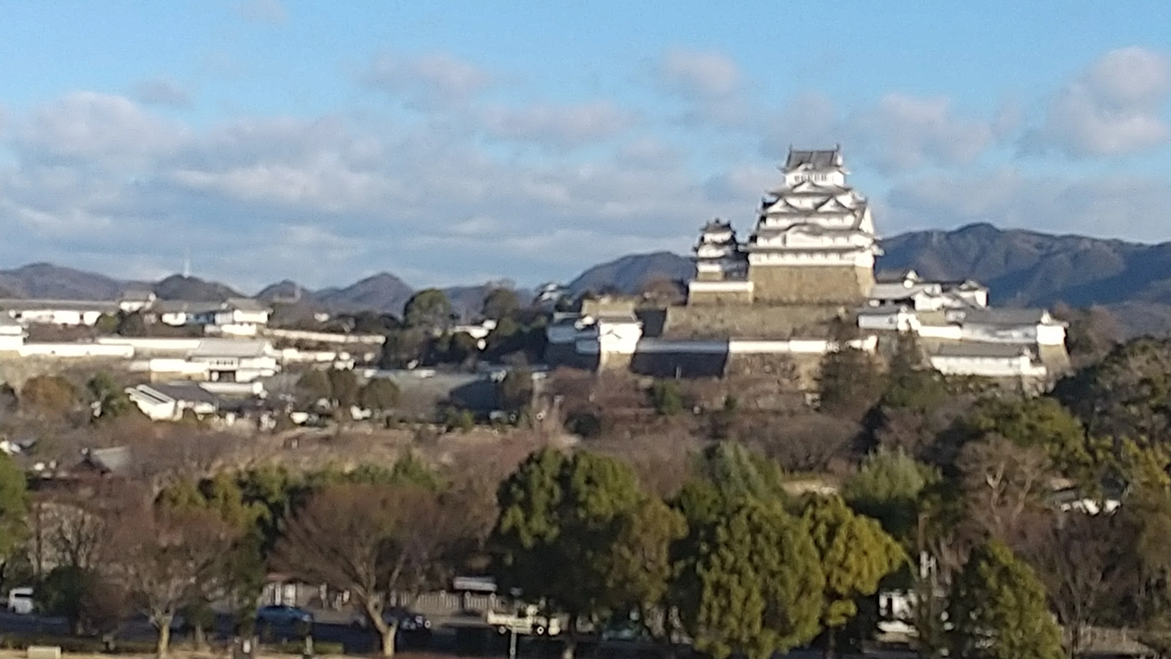 浪漫あふれる「ひめのみち」 姫路城・好古園 (姫路市) 2025 ～ 華の