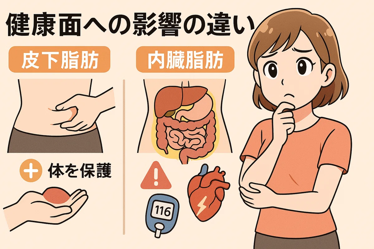 皮下脂肪と内臓脂肪の違いとは?それぞれの特性を知って、効率よく脂肪を落とそう!|RESIST公式|ウェルネスブログ