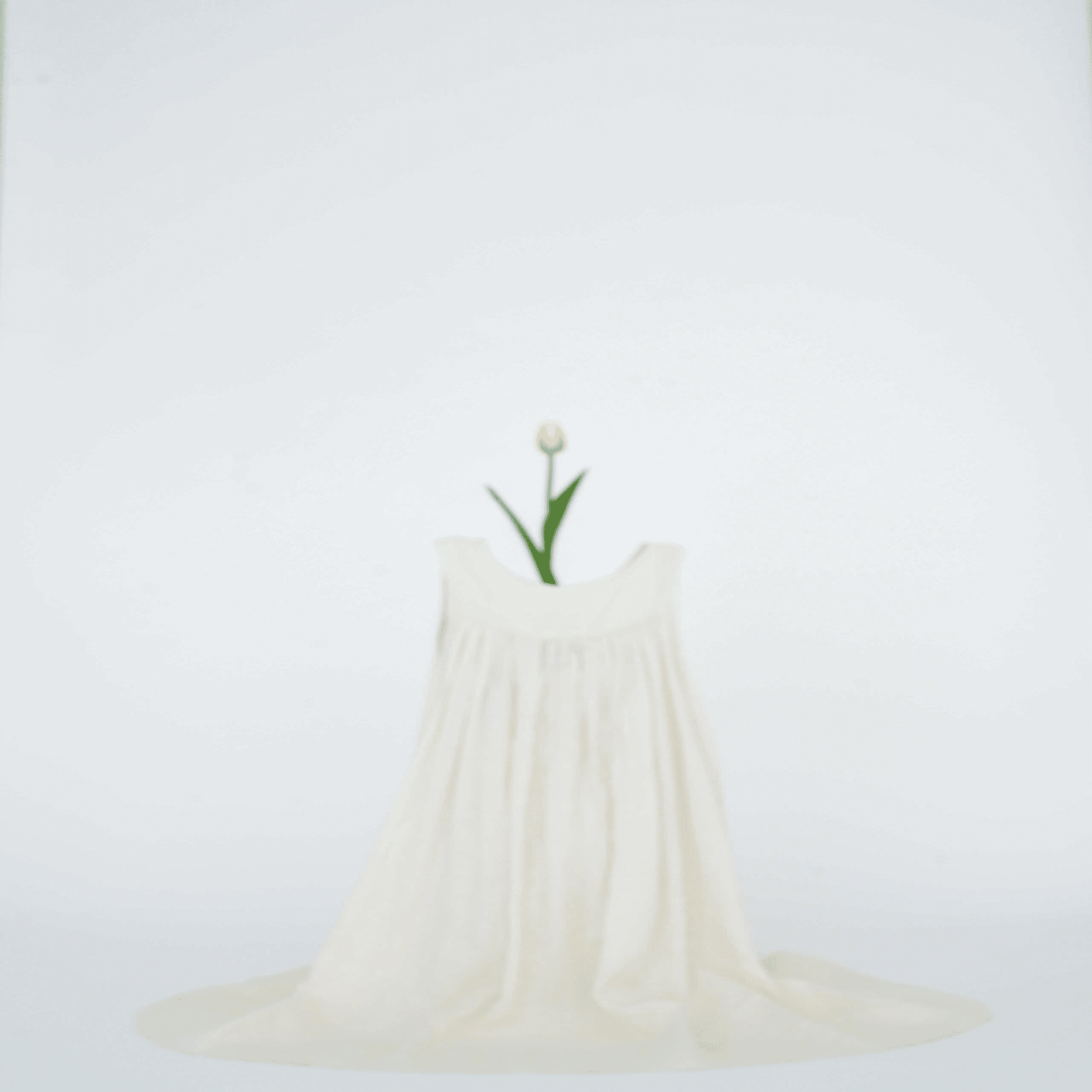 杉本博司 ポスター 大きな女性像 真作 杉本博司 ポスター 大きな女性像