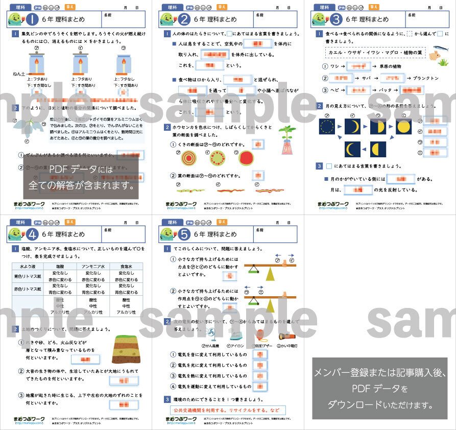 小学生　エープラス　6年生　理科&amp;社会　説明　問題　解説 小6理科「Z会グレードアップ問題集」無料お試しプリント