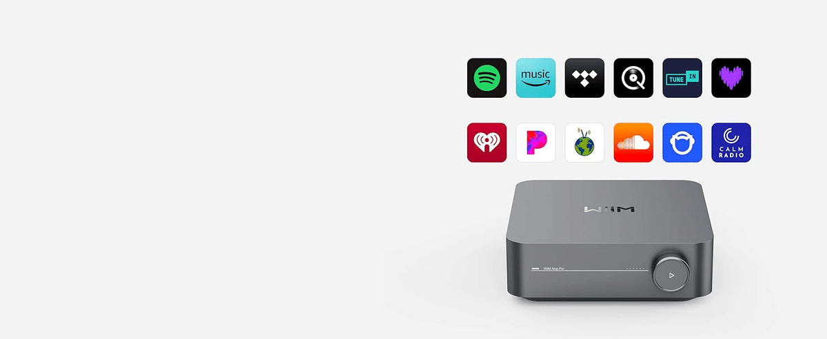 直輸入品】WiiM Amp Pro：マルチルームストリーミングアンプ