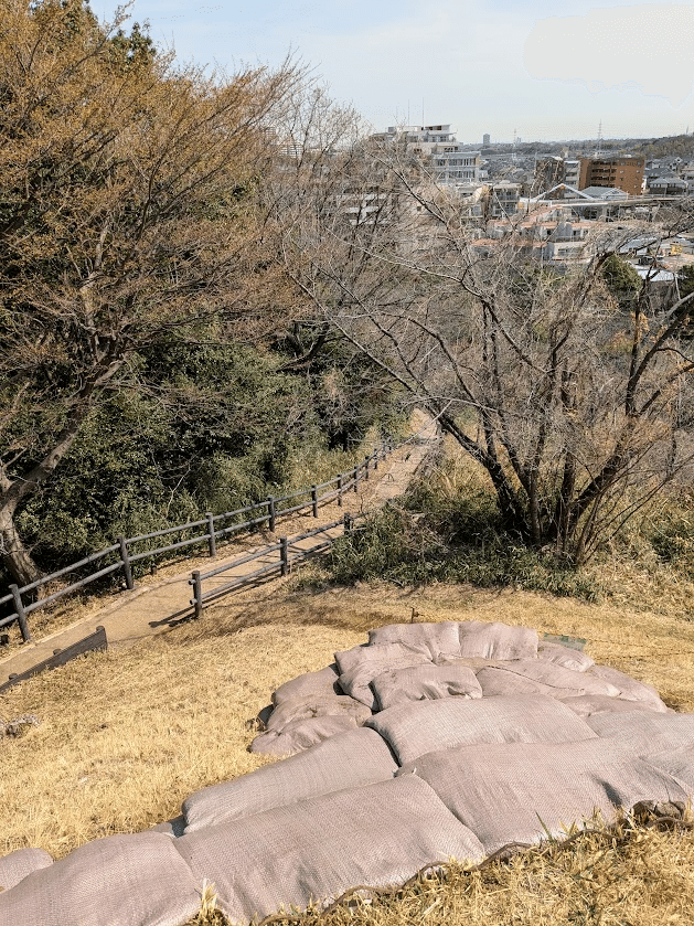 おばちゃん2人、ゆるり横浜の旅 ~遅れてきた青春篇~|くみた柑 おばちゃん2人、ゆるり横浜の旅 ~遅れてきた青春篇~|くみた柑