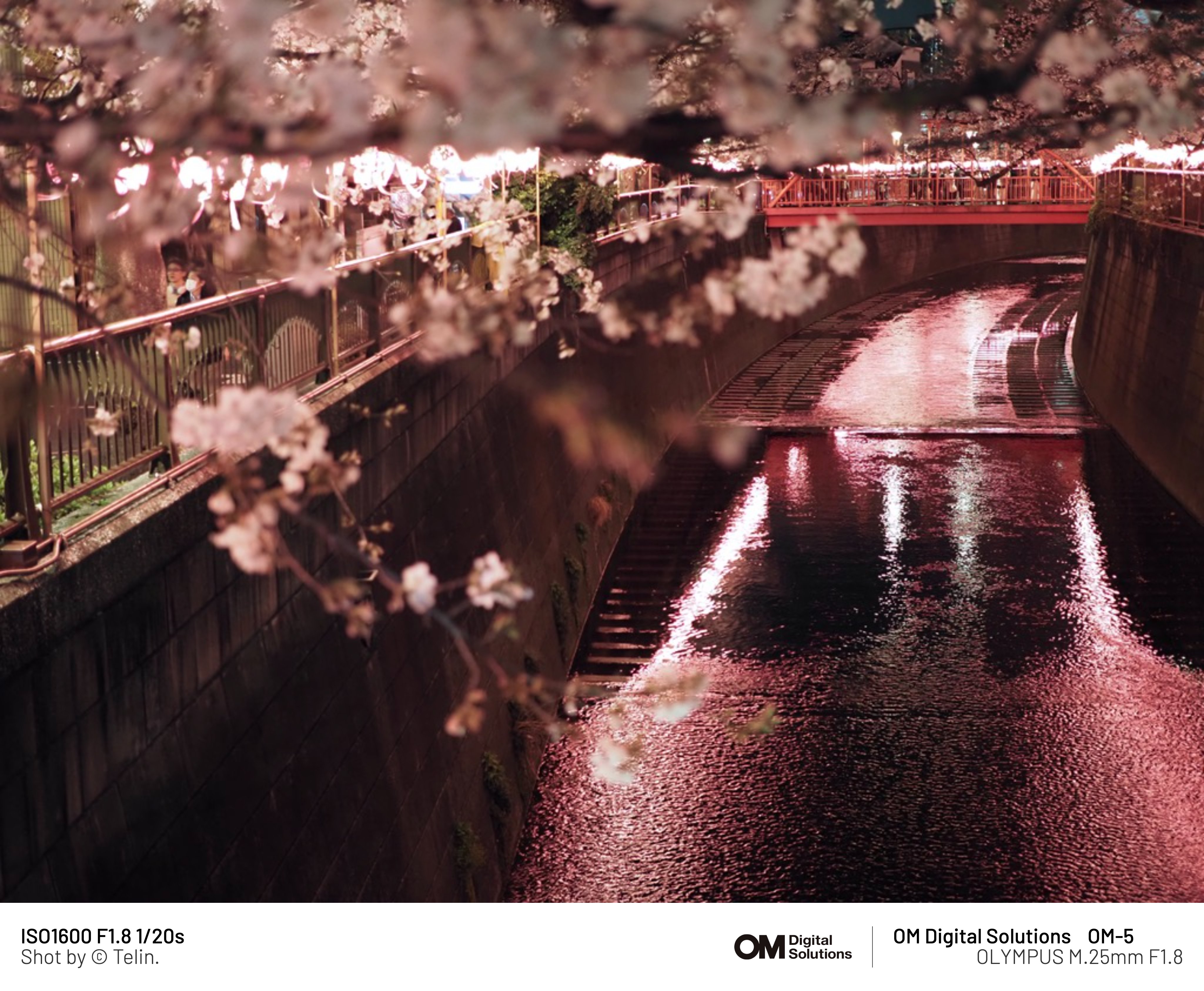 ずっと欲しかったOM-5購入&目黒川夜桜スナップ｜Telin.