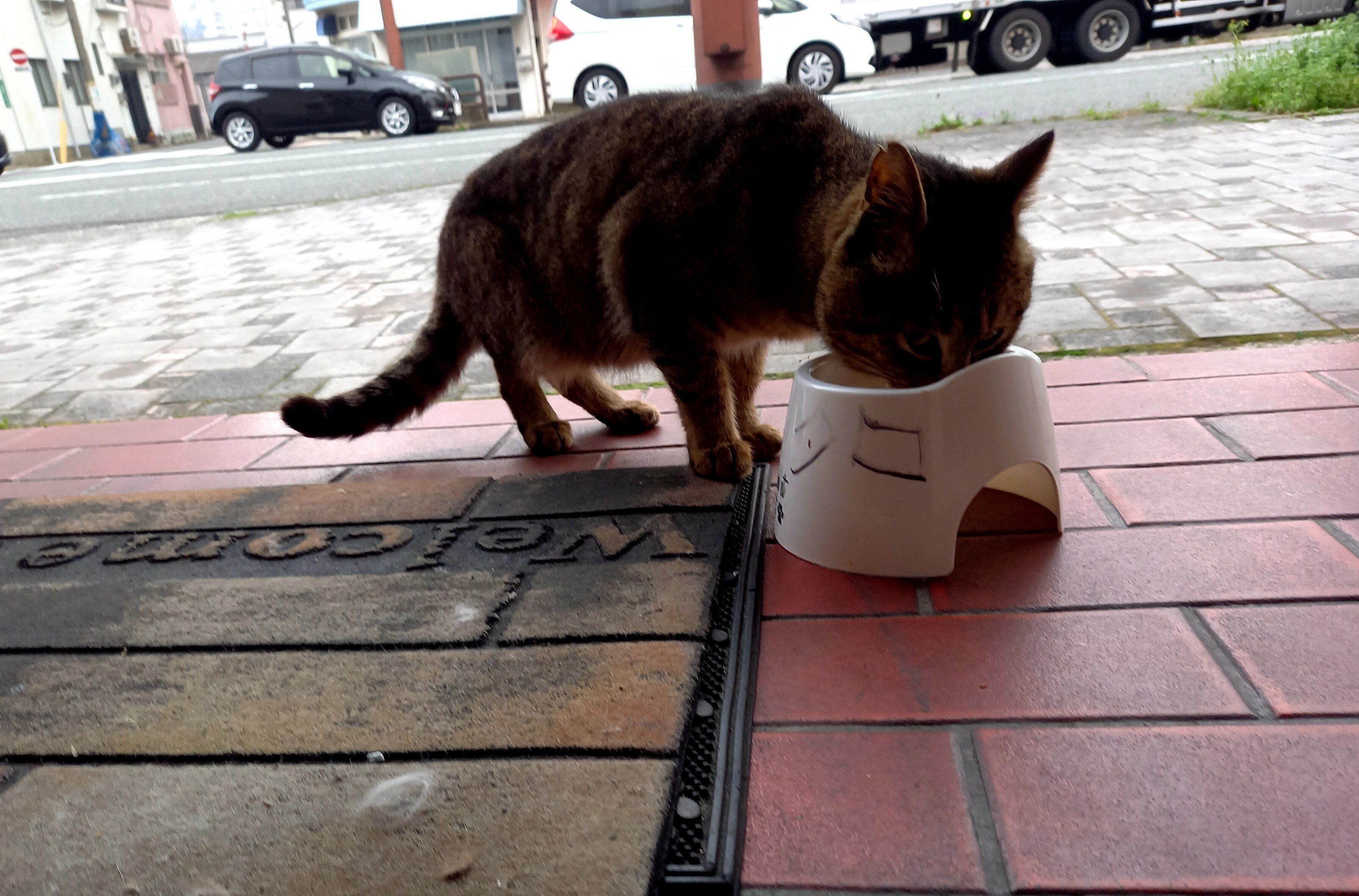 💞見倣うべきは・・(=^・^=)｜NPO法人あおぞら 