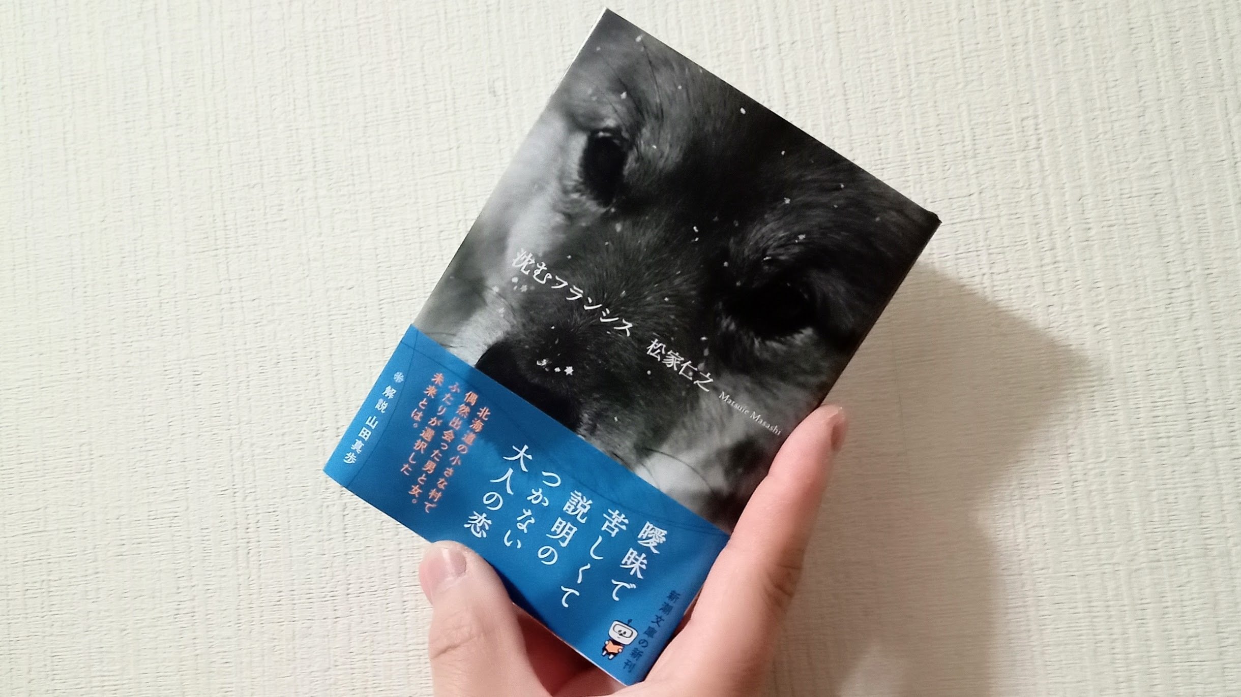 雑誌 &Premium 25冊セット 創刊号から29号まで、4冊欠け 雑誌 &Premium
