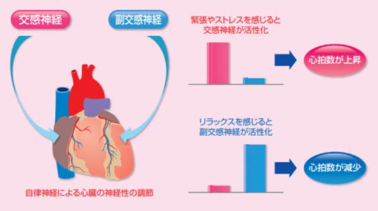 「心と体のつながり──感情を受け入れることの大切さ」|kiki☆