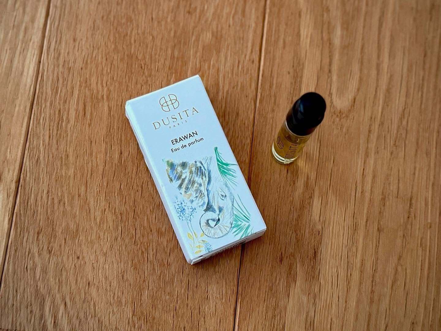 Dusita | Erawan。タイの象が誘う秋の森への旅｜kaz-san