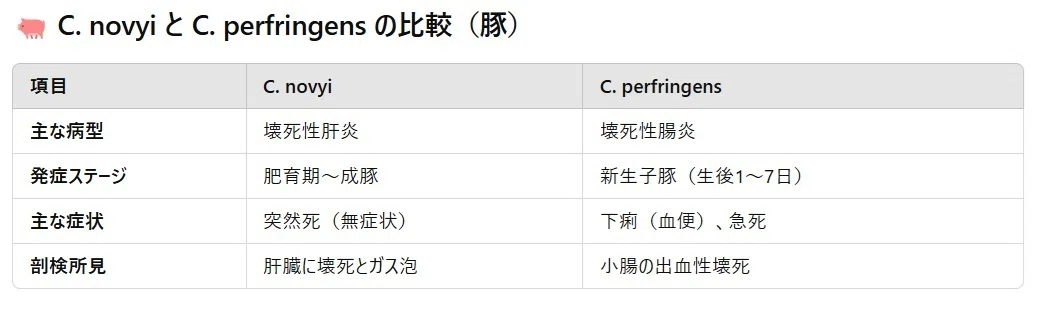 こんなクロストリジウムもあります－Clostridium novyi｜ハイノキは電気羊の夢を見るか？