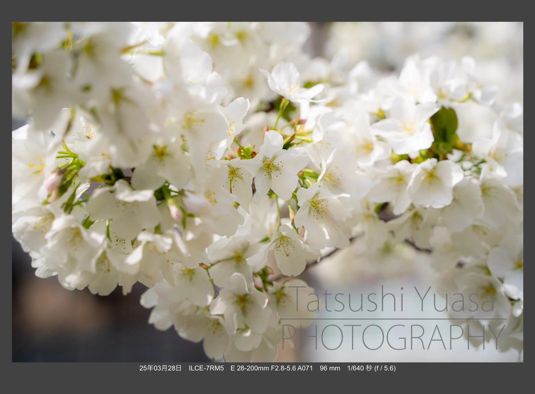 タムロン28-200mm F/2.8-5.6 Di III RXD (Model A071)の弱点は