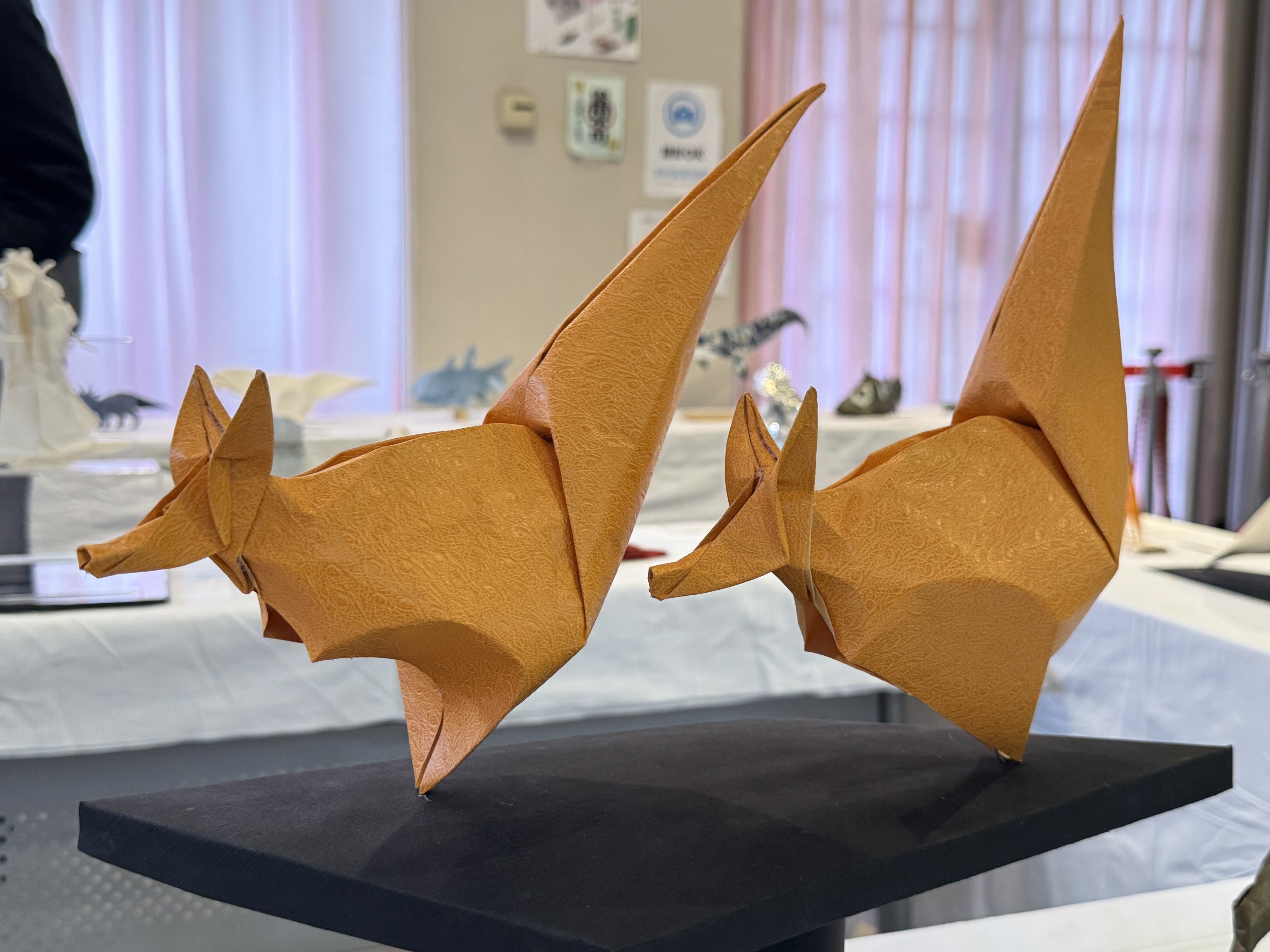 写真】折紙美術館'25 in根津③｜宮本宙也 / Miyamoto Chuya