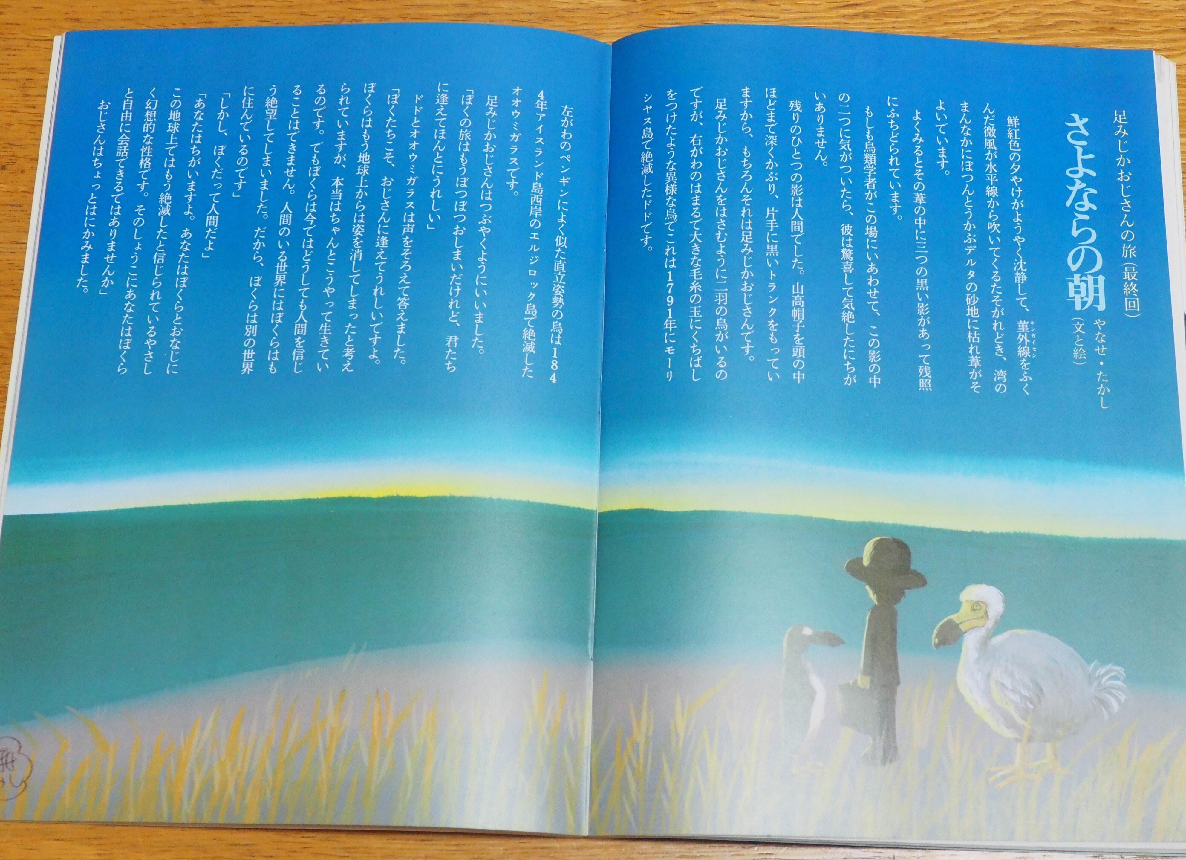 図録『Yoh Shomei 詩とメルヘンの世界』- 葉祥明ネットショップ