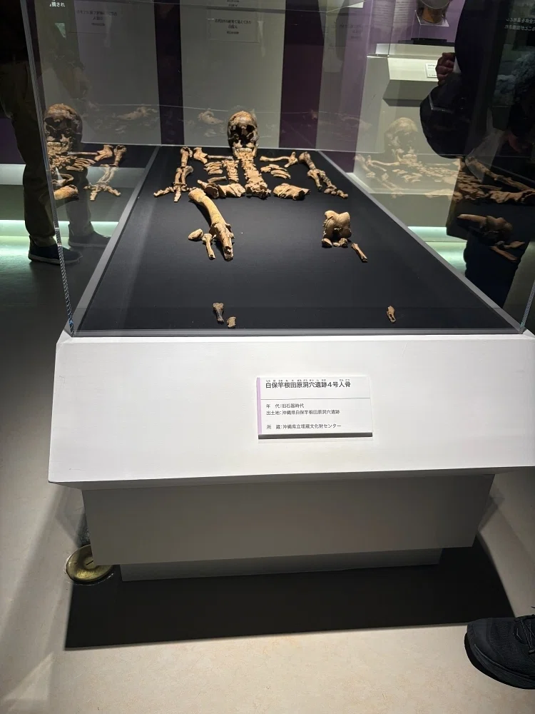 古代DNA ―日本人のきた道―』@国立科学博物館｜きんじょう めぐ