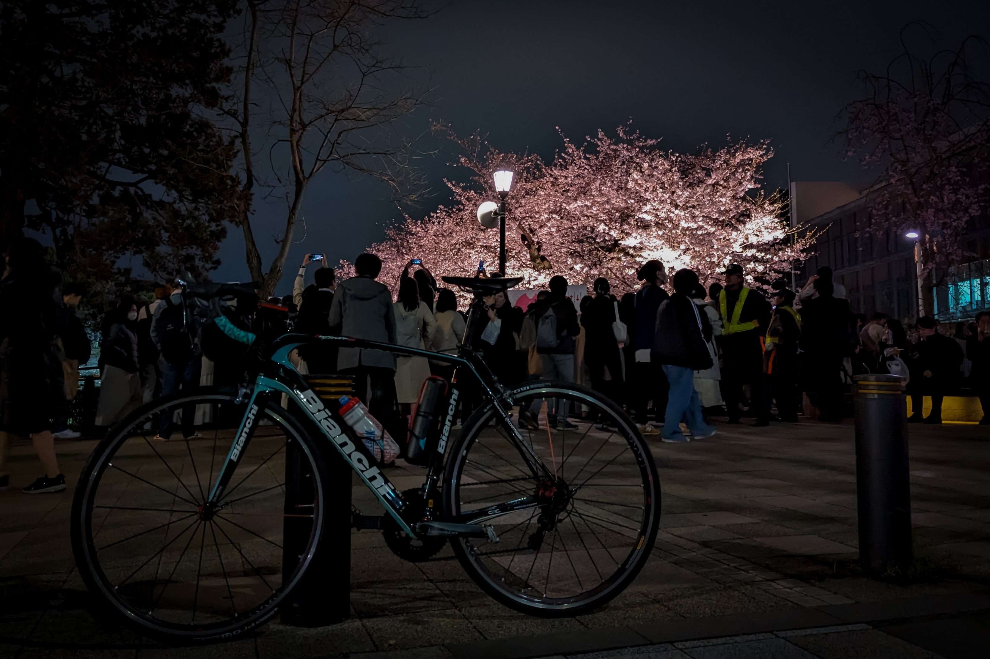 あの日の写真 東京、千鳥ヶ淵緑道・春｜oage