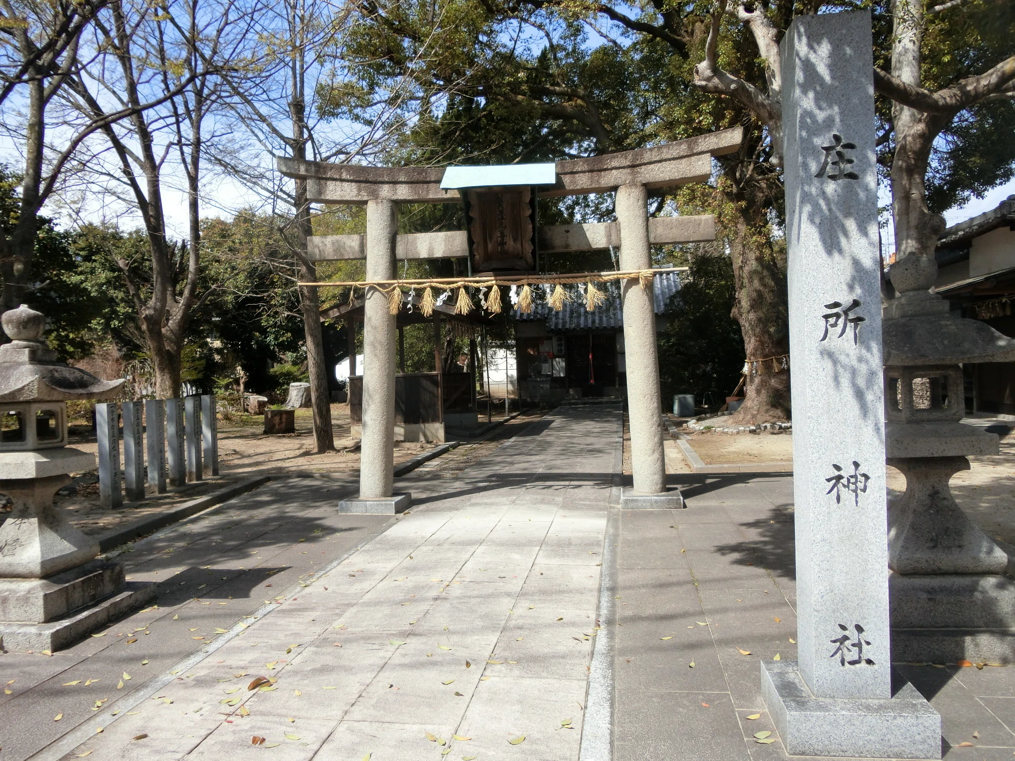 大阪北摂はスサノオなのか「素戔嗚尊神社(庄所神社)」住宅街だが巨木を