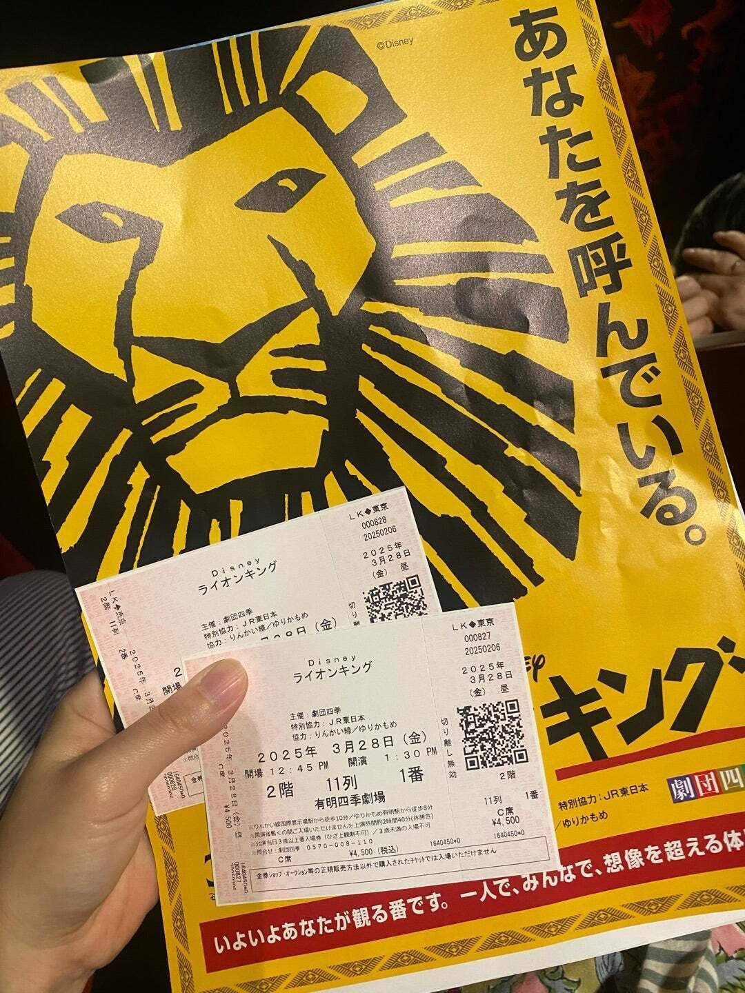 ライオンキングからご先祖さまを感じた話｜My business journey