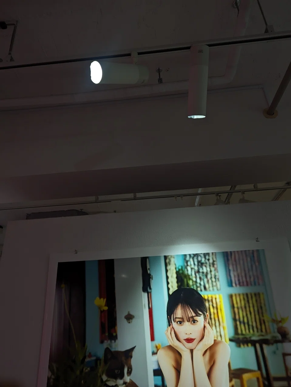 MINAMO 写真展 愛の果実 Photographed by LUCKMAN｜墨田ペトリ堂