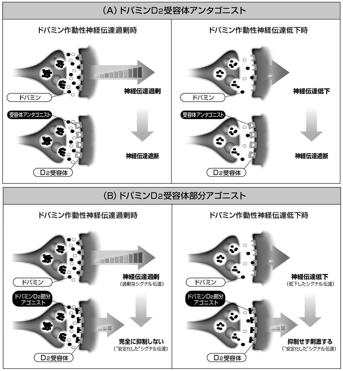 詳解薬理学 |本 | 通販 | Amazon