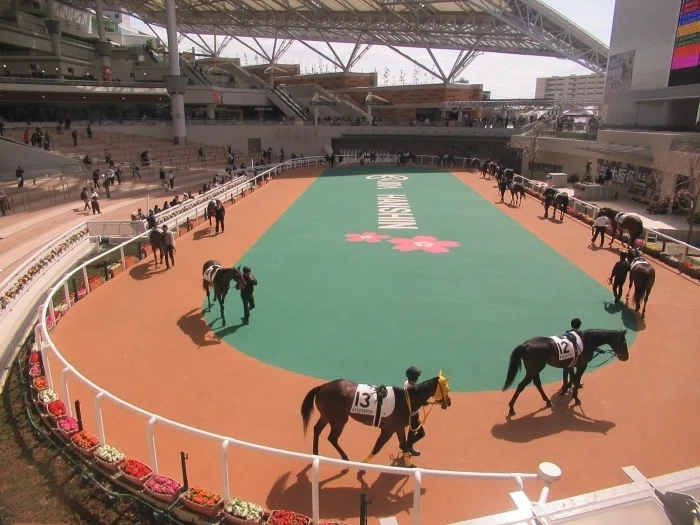阪神競馬場パドック