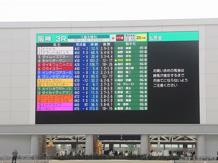阪神競馬場パドックビジョン